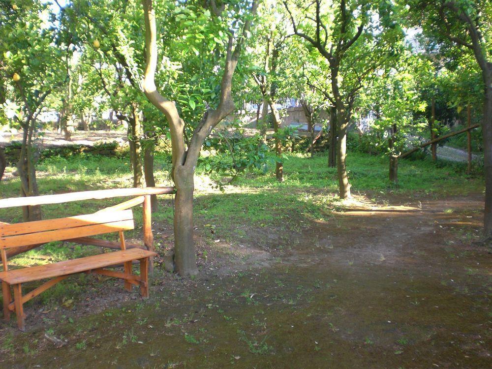 Chalet Paradiso Sorrento Luaran gambar