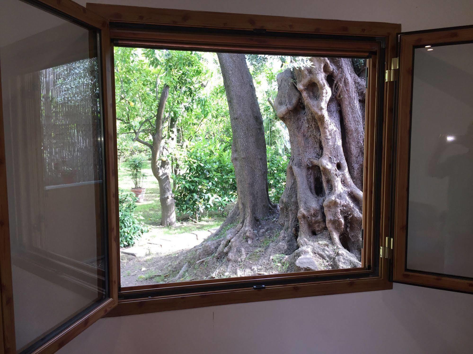 Chalet Paradiso Sorrento Luaran gambar